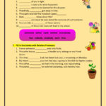 Pronouns Mixed Worksheet