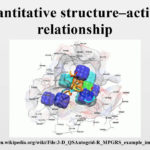 Quantitative Structure Activity Relationship YouTube