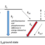 Quantum Chemistry Can Fluorescent Phosphorescent