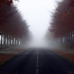 Road Trees Fog Landscap Wallpapers HD Desktop And