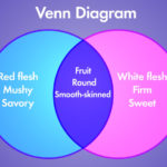 The Venn Diagram How Overlapping Figures Can Illustrate