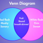 The Venn Diagram How Overlapping Figures Can Illustrate