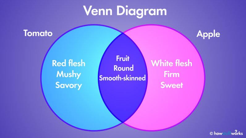 The Venn Diagram How Overlapping Figures Can Illustrate 