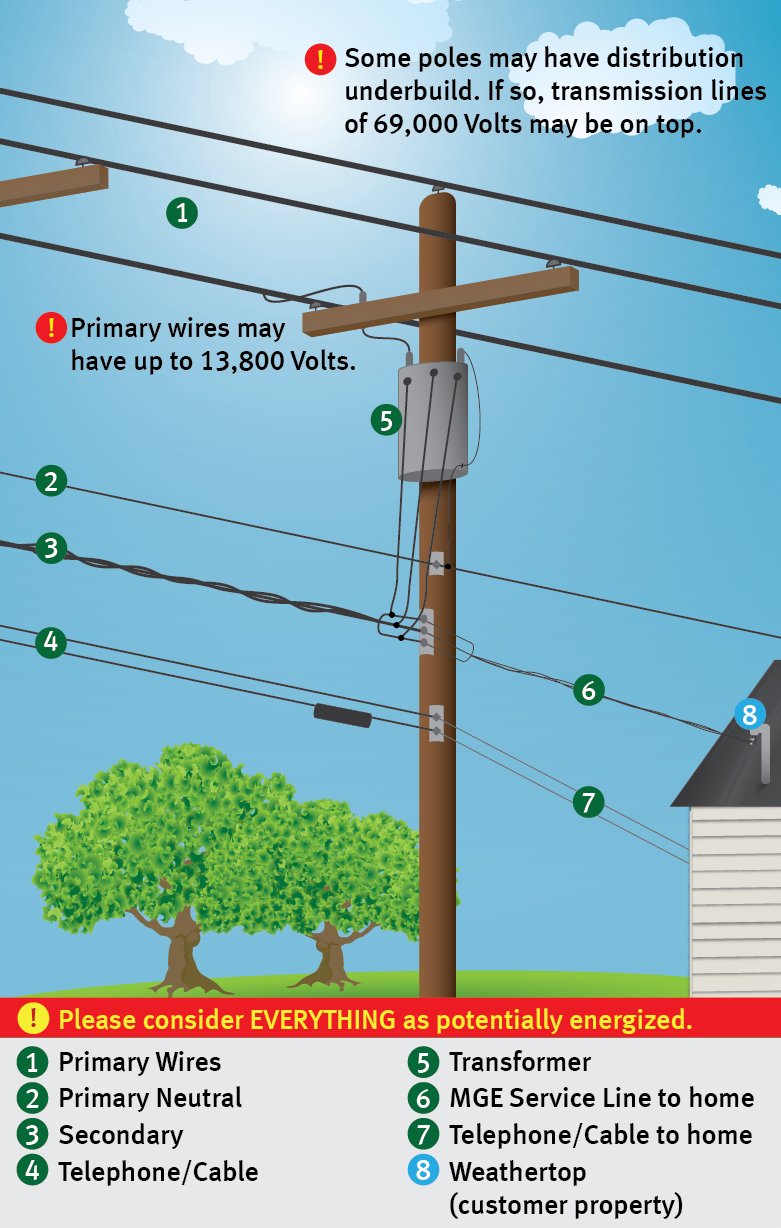 Tree Pruning Madison Gas And Electric Madison Wisconsin