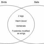 Venn Diagrams Assessment Resource Banks