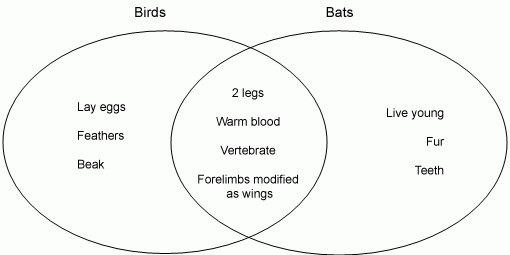 Venn Diagrams Assessment Resource Banks