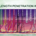 Wavelength Penetration In Skin Laser Safety Course