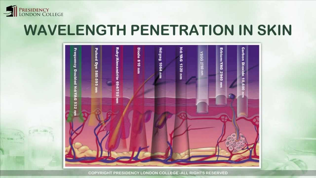 Wavelength Penetration In Skin Laser Safety Course 