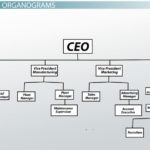 What Is An Organogram Definition Structure Example