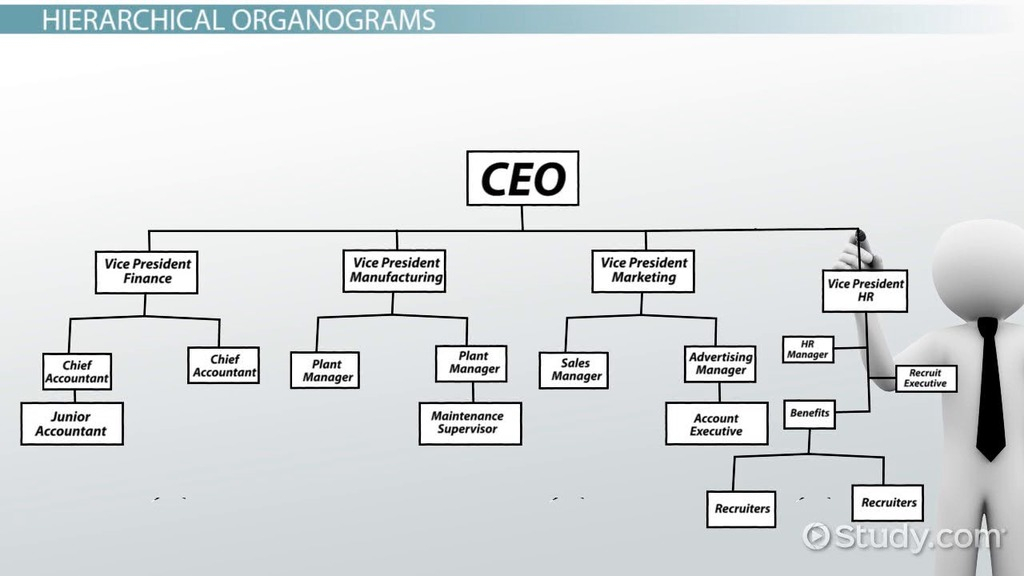 What Is An Organogram Definition Structure Example 