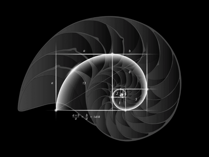 What Is The Golden Ratio And How Is It Related To The 