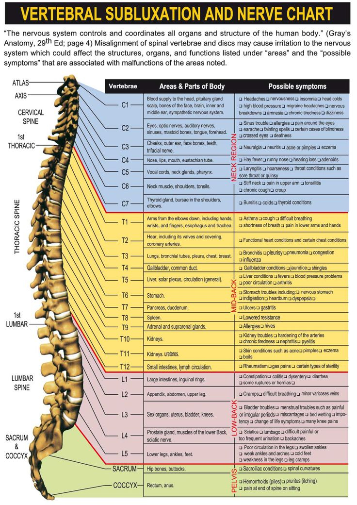 What Spinal Levels Match What Subluxation Chiropractic 
