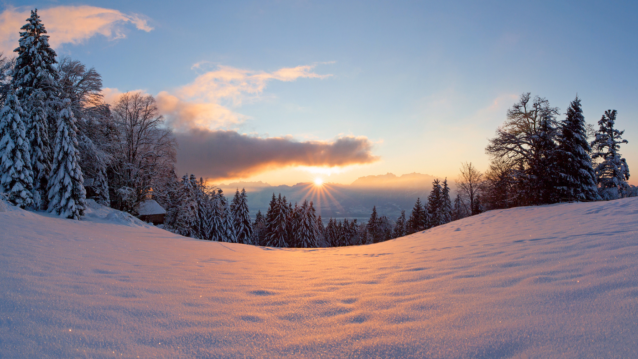 Winter Snow Light Trees Sun Forest Wallpapers HD 