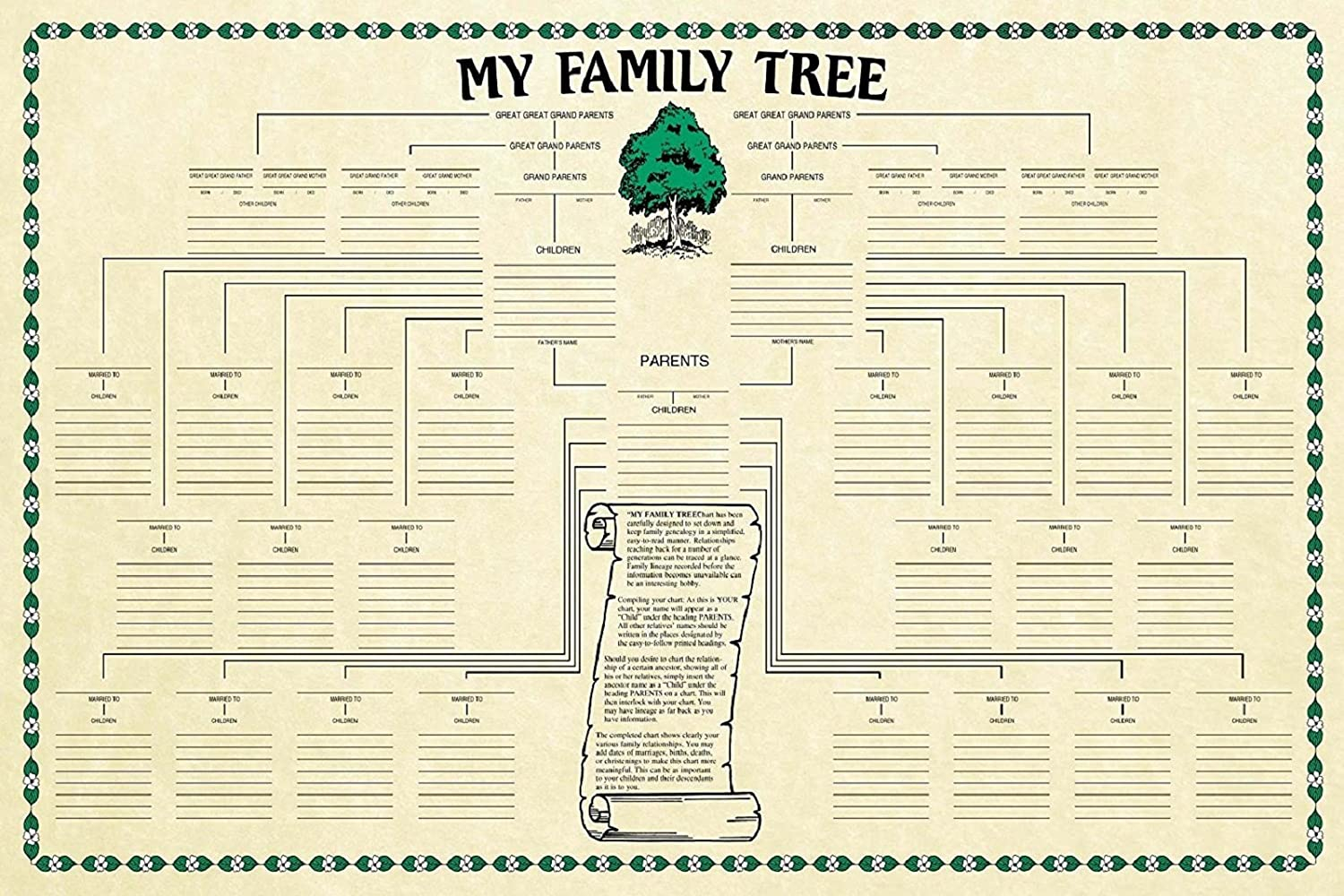 Amazon Family Tree Chart Genealogy Office Products
