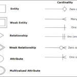 Car Rental Er Diagram I Am Making An Er Diagram That