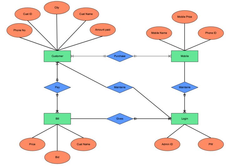 Conceptual ER Diagram