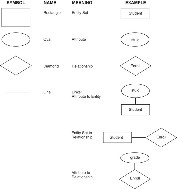 ER Diagram Shapes