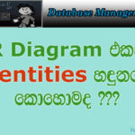 DBMS Sinhala Tutorial Part 02 ER Diagram I Entity