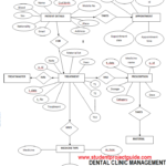 Dental Clinic ER Diagram Student Project Guidance