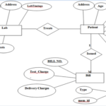 Diagnostic Management System Project Design PPT 1000