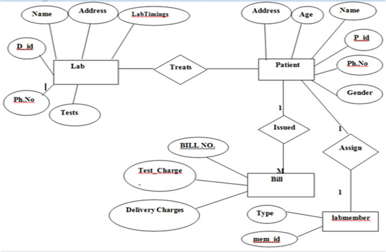 Diagnostic Management System Project Design PPT 1000 