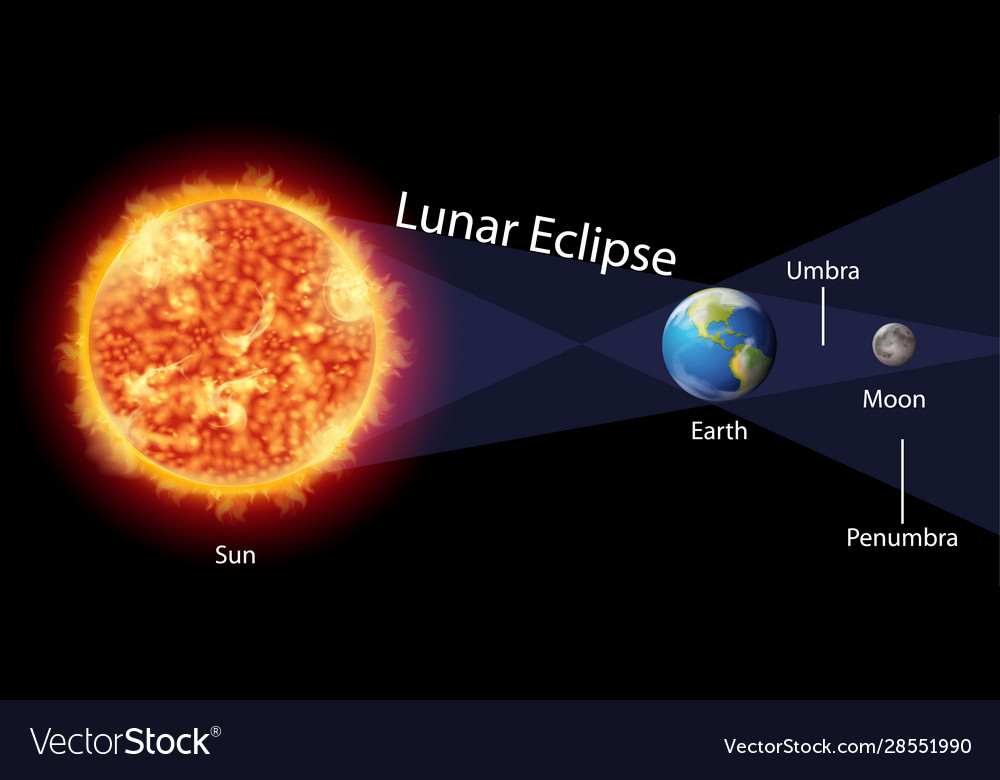Diagram Showing Lunar Eclipse With Earth And Sun Vector Image