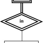 Double Line In Er Diagram ERModelExample