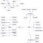 Entity Relationship Diagram ER Diagram For Hostel