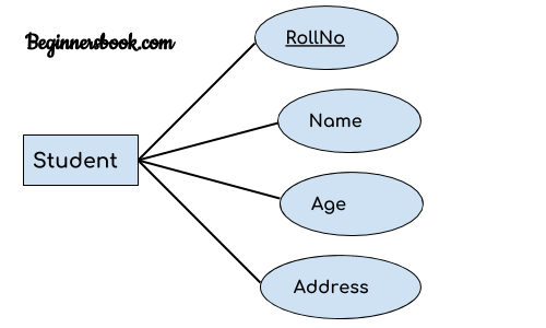 ER Diagram Key Attribute