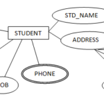 ER Data Model ER Diagram Symbols One To One Relation