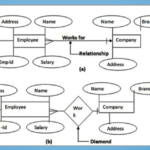 ER Diagram Assignment Help Entity Relationship Diagram