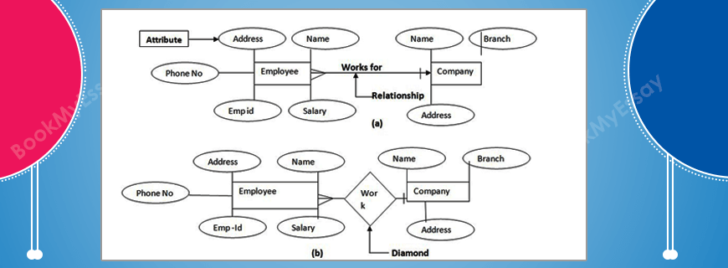 ER Diagram Introduction