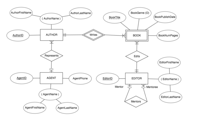 ER Diagram Dotted Line Attribute