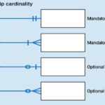 ER Diagram Entity Relationship Diagram Model DBMS