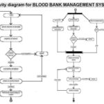 Er Diagram Of Blood Bank Management System