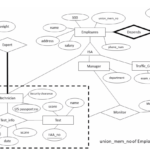 Er Diagram Optional Attribute ERModelExample