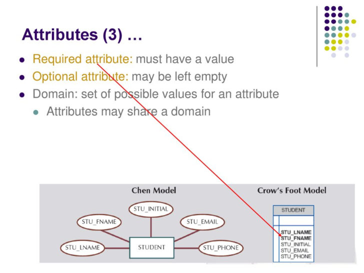 ER Diagram Optional Attribute