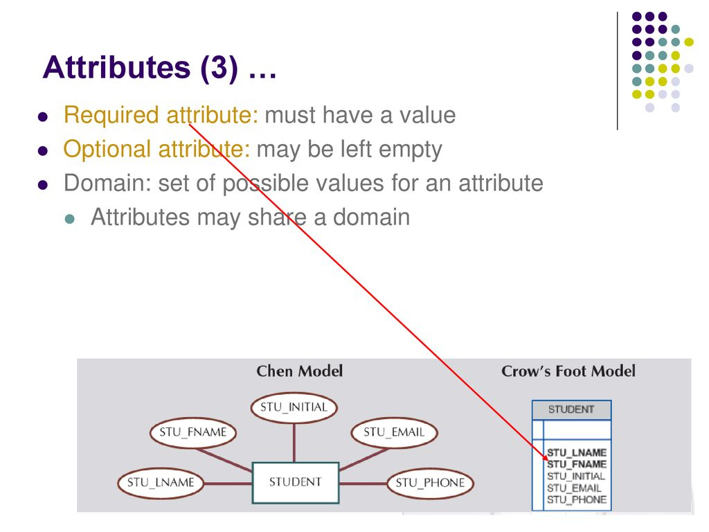 Er Diagram Optional Attribute ERModelExample