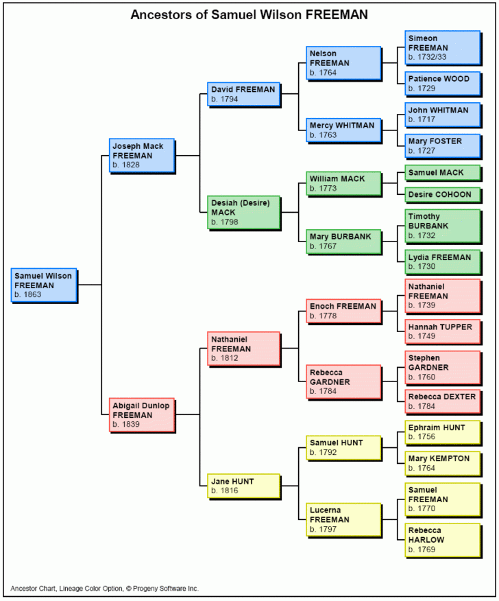 Ancestor ER Diagram