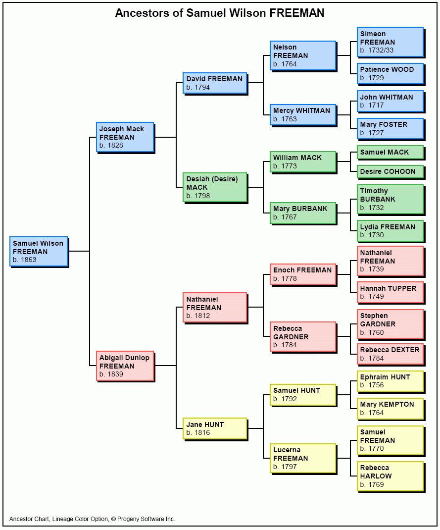 Family Tree What Type Of Chart Is This Genealogy 