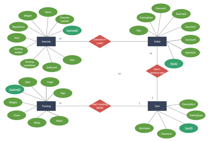 ER Diagram For Fitness App