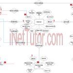 Gym Management System ER Diagram Step 3 Complete ERD