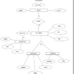 Hospital Management Er Diagram In Database