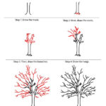 How To Draw A Sycamore Tree Step By Step Tutorial Tree