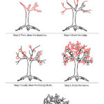 How To Draw A Tree Step By Step Image Guides Tree