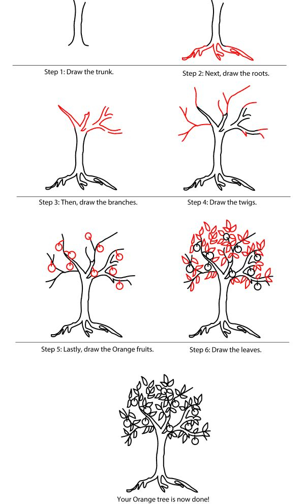 How To Draw ER Diagram Step By Step