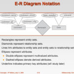 In An Er Diagram Double Rectangle Represents