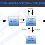Information Processing Information Processing Learning
