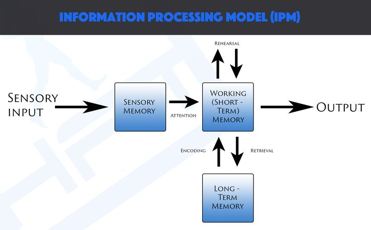 Information Processing Information Processing Learning 