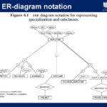 Min Max Notation Er Diagram Steve